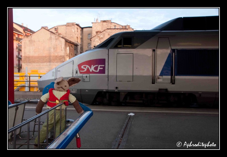Lapinou at Paris 2010